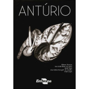Antúrio Antúrio