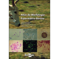 Atlas de Morfologia Espermática Bovina