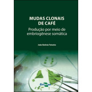 Mudas Clonais de Café Mudas Clonais de Café