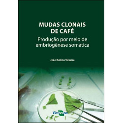 Mudas Clonais de Café