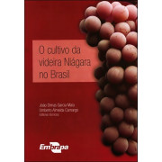 O cultivo da videira Niágara no Brasil O cultivo da videira Niágara no Brasil