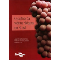 O cultivo da videira Niágara no Brasil