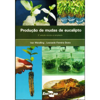 Produção de mudas de Eucalipto