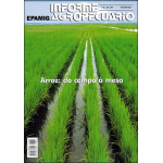 IA 301 - Arroz: o campo a mesa