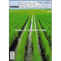 IA 301 - Arroz: o campo a mesa