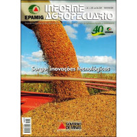 IA 278 - Sorgo: inovações tecnológicas