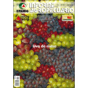 IA 289 - Uva de mesa