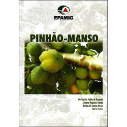 Pinhão - Manso