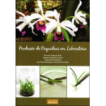 Produção de Orquídeas em Laboratório