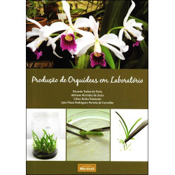 Produção de Orquídeas em Laboratório