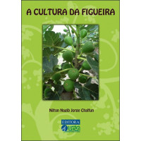 A Cultura da Figueira