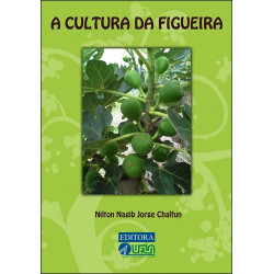 A Cultura da Figueira