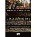 O Ecossistema Solo