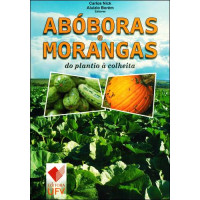 Abóboras e Morangas do plantio à colheita