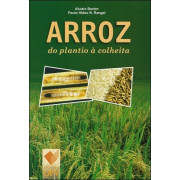 Arroz do Plantio à Colheita Arroz do Plantio à Colheita