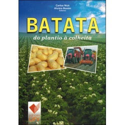 Batata do plantio à colheita