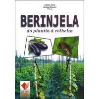 Berinjela do plantio à colheita