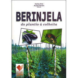 Berinjela do plantio à colheita