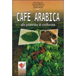Café Arábica do plantio à colheita