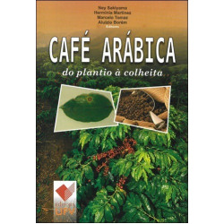 Café Arábica do plantio à colheita