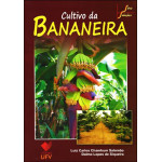 Cultivo da Bananeira