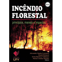 Incêndio Florestal