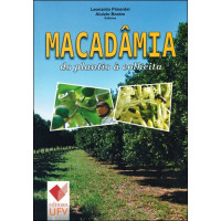 Macadâmia do Plantio à Colheita