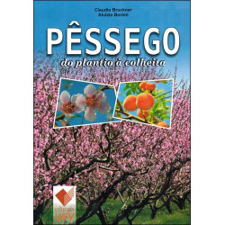 Pêssego do Plantio à Colheita