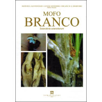 Mofo Branco - Sclerotinia sclerotiorum